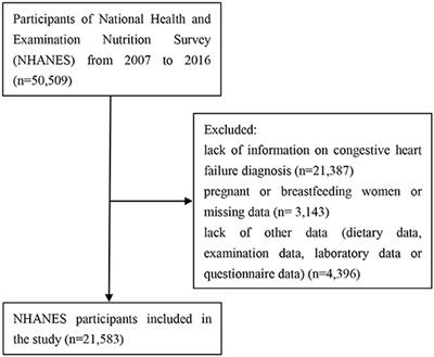 Congestive Heart Failure Exhibited Higher BMI With Lower Energy Intake and Lower Physical Activity Level: Data From the National Health and Examination Nutrition Survey